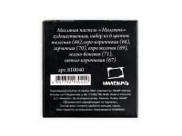 Набор масляной пастели профессиональной Малевичъ 6 шт, коричневые оттенки