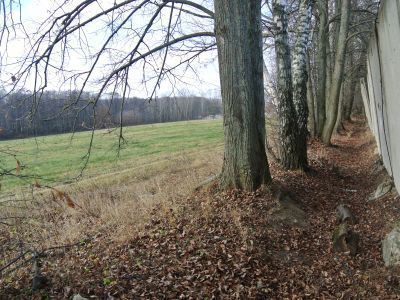 Вал и канава по восточной границе усадьбы