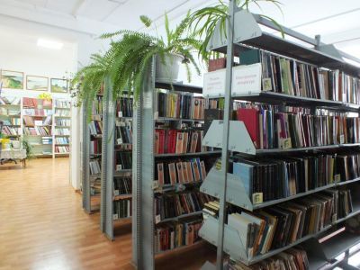 Новодевиченская сельская библиотека