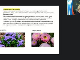 Международный вебинар "Выполнение вспомогательных работ по посадке декоративных цветочных растений"