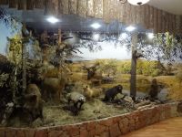 Народный музей Матвеевского района