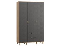 Распашной шкаф Теджонс 3-139x224 Деко Графитовый