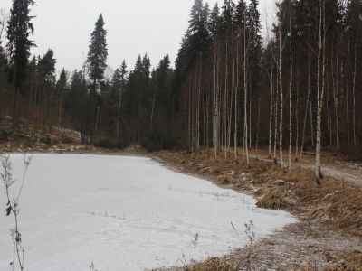 Усадьба Бекетовых - А.А. Блока "Шахматово", в которой с 1881 по 1916 гг. жил поэт А.А. Блок