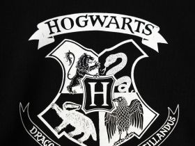 Платье трикотажное для девочек