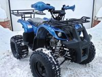 Квадроцикл MOTOLAND 125 Fox A