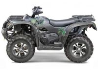 Квадроцикл СТЕЛС ATV 600 YL Leopard