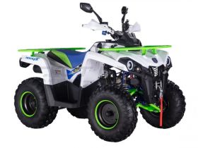 Квадроцикл ROCKOT Hammer 200 Premium