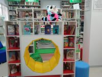 Бриньковская поселенческая библиотека