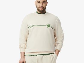 Мужская толстовка Lacoste из органического хлопка