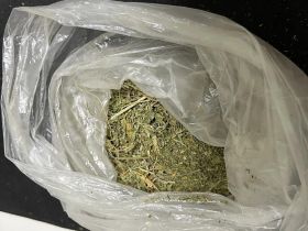 Житель Якутска выращивал коноплю в своем гараже