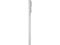 Apple iPad Pro 11 (2024) 512Gb Wi-Fi + Cellular with Standard glass (Silver)