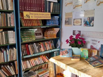 Камыштинская сельская библиотека