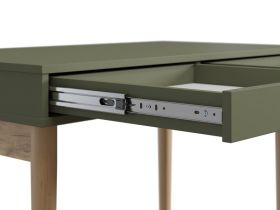 Письменный стол Эльси 100x55 Оливковый/Натуральный