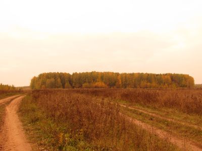 Священная роща
