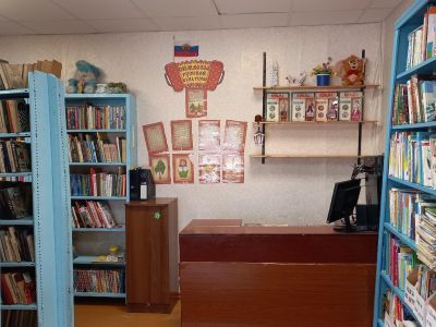 Шунемская сельская библиотека