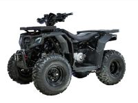 Квадроцикл PROGASI Race Jumper 200 Max Power