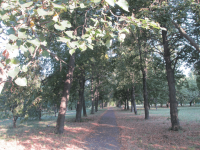 Дом-музей В. И. Ленина