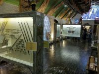 Музей оружия «Дух воина»