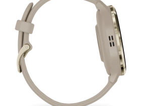 Смарт-часы Garmin Venu 3s Soft Gold French Gray Silicone (010-02785-02)