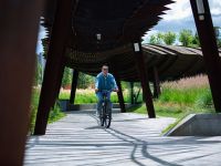 Электровелосипед Alpine Bike Alpinebike Dammastock, год 2025, цвет Коричневый, ростовка 20