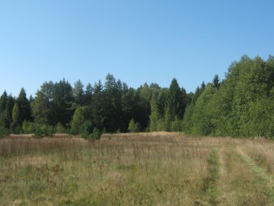 Памятное место, где 2 сентября 1942 г. произошел крупный бой партизан с немецко-фашистскими захватчиками. В бою погиб комиссар отряда В.А. Свиридкин