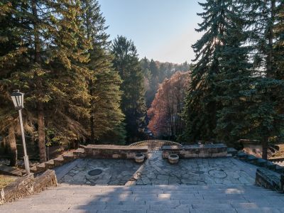 Лестница в нижний парк, архитектор И.И.Леонидов