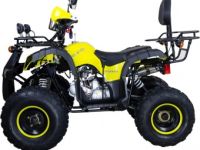 Квадроцикл AVANTIS Hunter 8M Lux 125 2017