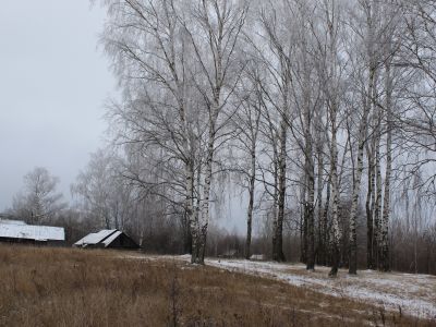 Родина Героя Советского Союза Д.И.Кузнецова, умер от ран в 1941 г.
