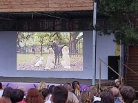 Парк культуры и отдыха г. Южноуральска