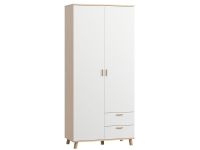 Распашной шкаф Пронто 2-100x220 Береза/Белый