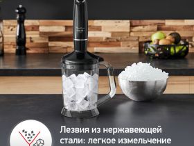 Погружной блендер Moulinex INFINY FORCE V2 DD94L810