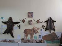 Кигинский историко-краеведческий музей