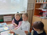 Шелемишевская сельская библиотека