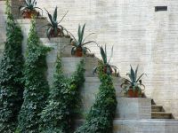 Ольгин павильон