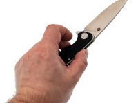 Складной нож Honor Ajax, сталь VG-10 сатин, рукоять G-10