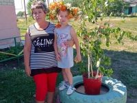 Дом культуры п. Вольновка