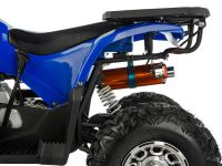 Квадроцикл TIGER Extra 175cc (2024)