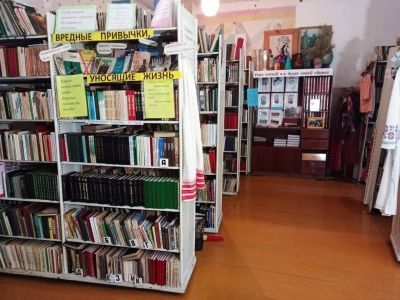 Низовская сельская библиотека