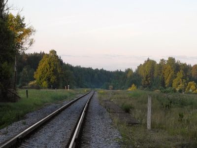 Памятное место, где с июля 1942 г. по март 1943 г. действовал партизанский отряд «Народный мститель». Командир отряда М.П. Марышев