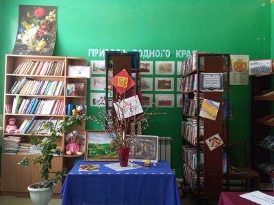 Медикасинская сельская библиотека