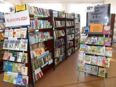 Шелокшанская сельская библиотека – филиал № 24