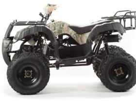 Квадроцикл MOTOLAND 200 All Road (2021 Г.)