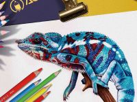 Набор карандашей цветные двусторонние ACMELIAE 6 шт/12 цв. Трехгранные, в картонном футляре