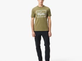 Мужская хлопковая футболка Lacoste стандартного кроя