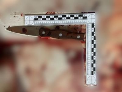 Взята под стражу жительница Горного района, обвиняемая в умышленном причинении тяжкого вреда, повлекшего смерть человека