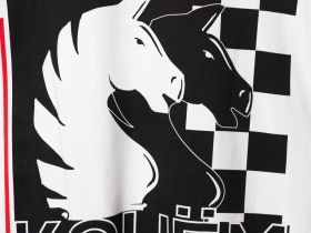 Комплект для мужчин: фуфайка (футболка) трикотажная, шорты текстильные