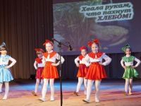 Топчихинский центральный дом культуры