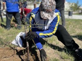 В Якутии отметили Всемирный день борьбы посадкой деревьев в честь олимпийцев