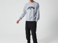 Мусжкая хлопковая толстовка Lacoste