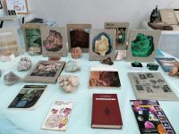 Музей экологии и охраны природы г. Набережные Челны